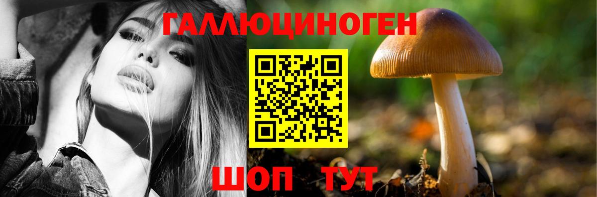 Псилоцибиновые грибы прущие грибы  Вход с VPN  Ейск 
